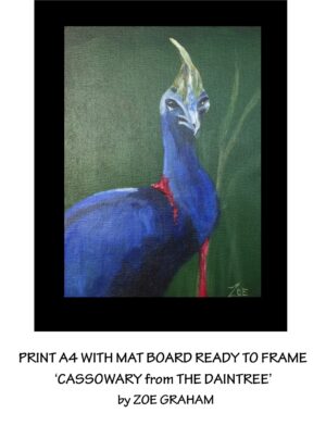 Cassowary from The Daintree black border