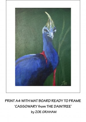 Cassowary from The Daintree