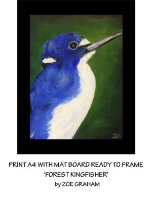 Forest Kingfisher black border