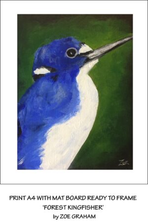 Forest Kingfisher