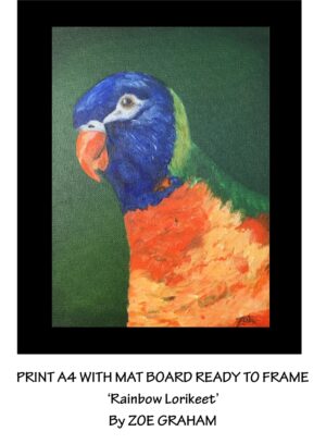 Rainbow Lorikeet black border